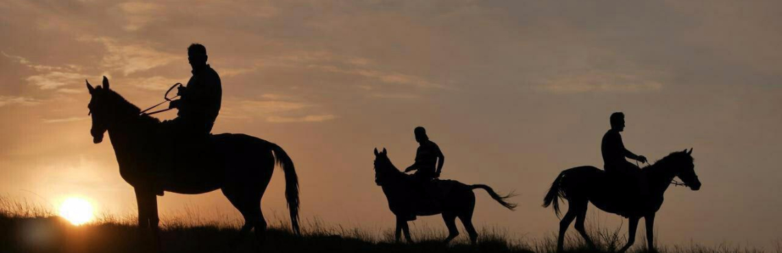 تور یک روزه و دو روزه طبیعت گردی با اسب اصیل ترکمن 